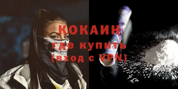 индика Белокуриха
