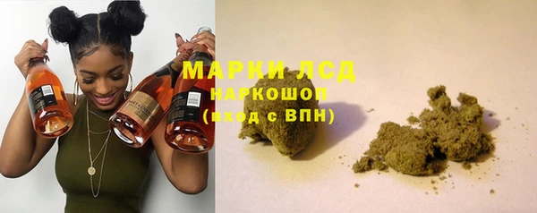 индика Белокуриха