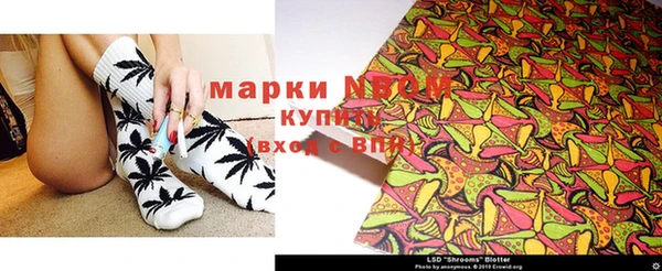 индика Белокуриха
