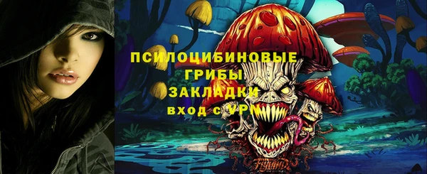 метадон Приозерск