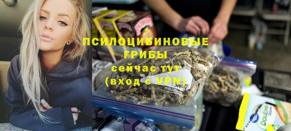 индика Белокуриха