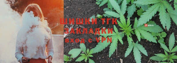 индика Белокуриха