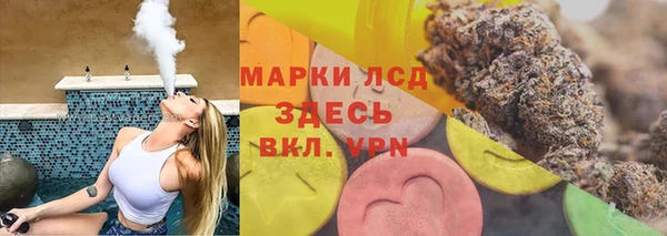 индика Белокуриха