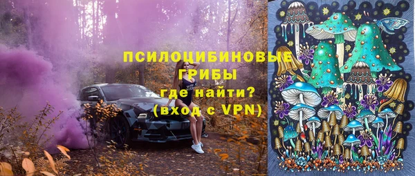 индика Белокуриха
